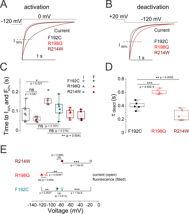 Figure 5—figure supplement 1.