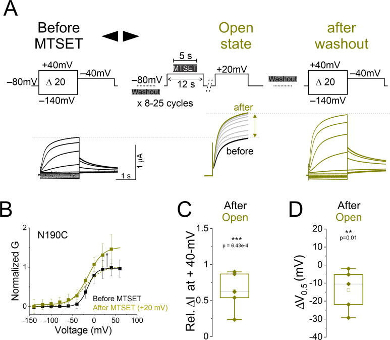 Figure 1—figure supplement 4.