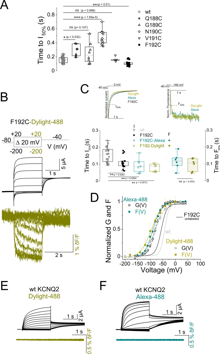 Figure 2—figure supplement 1.