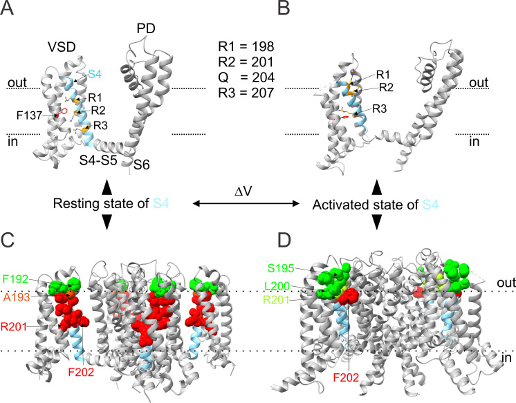 Figure 1—figure supplement 5.