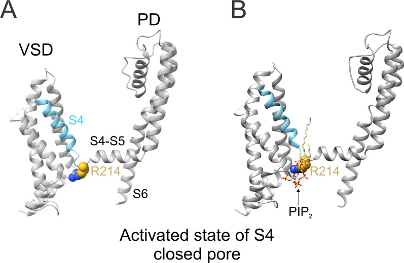 Figure 5—figure supplement 2.