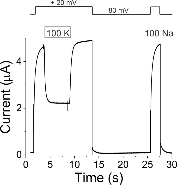 Figure 1—figure supplement 2.