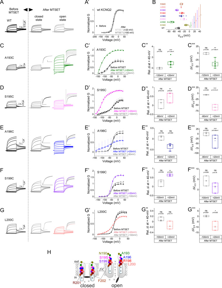 Figure 1—figure supplement 1.