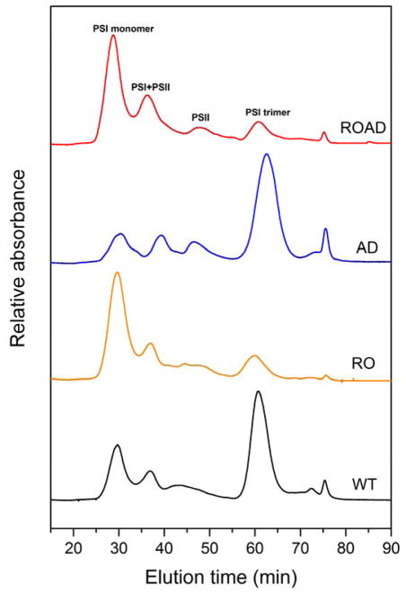 Fig. 6