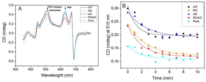 Fig. 7