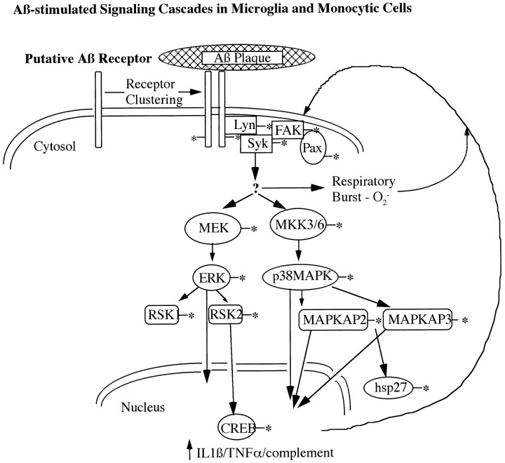 Fig. 8.