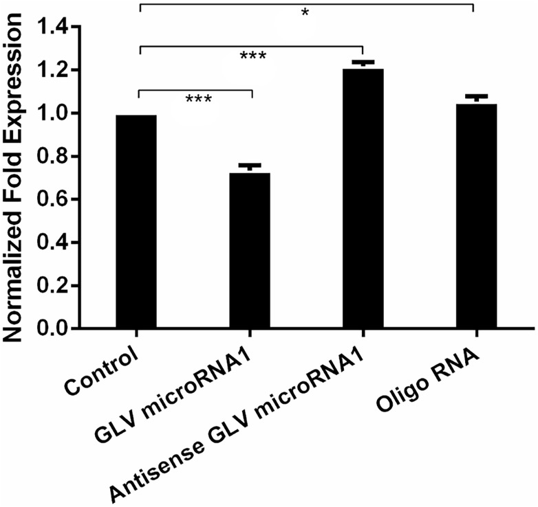 FIGURE 3