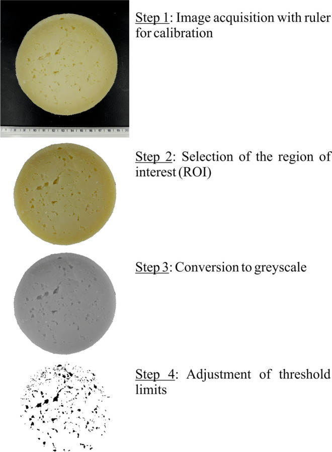 Fig. 2