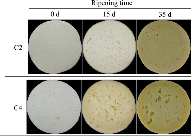 Fig. 3