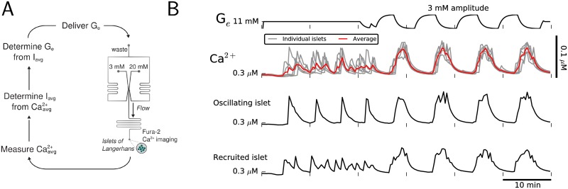 Fig 12