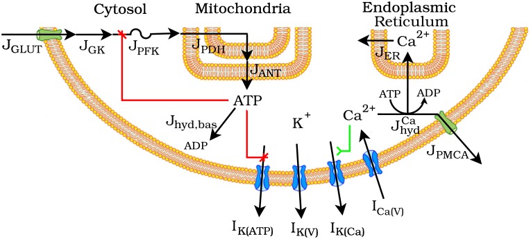 Fig 2