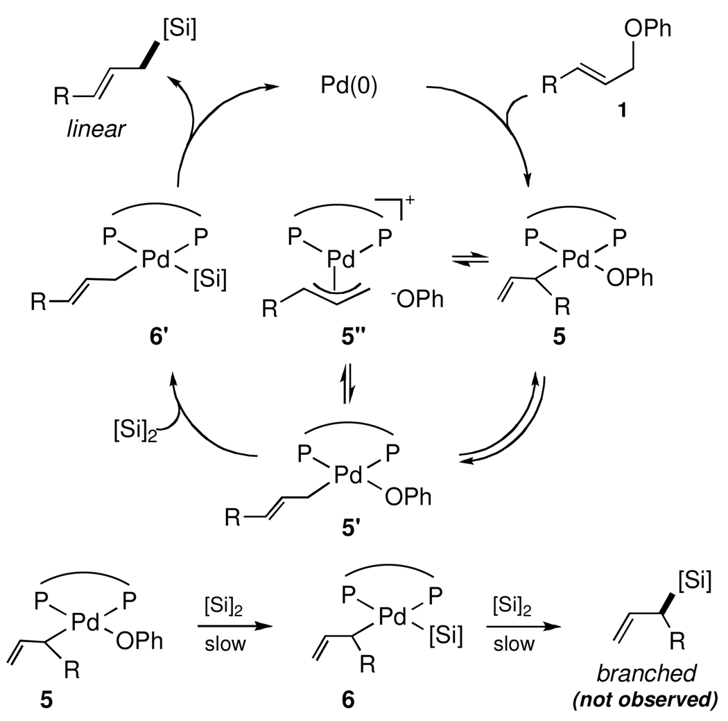 Scheme 4