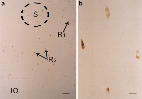 Fig. 7