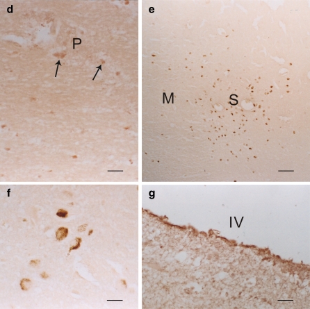 Fig. 6