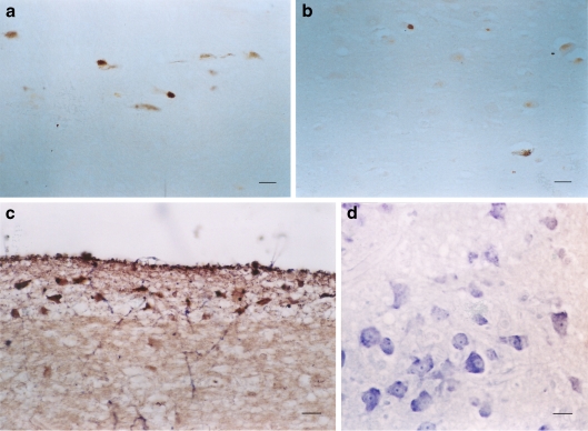 Fig. 10