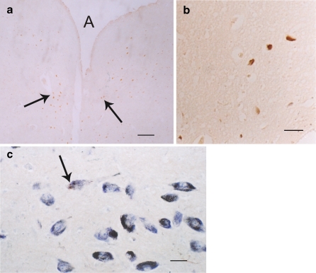 Fig. 6