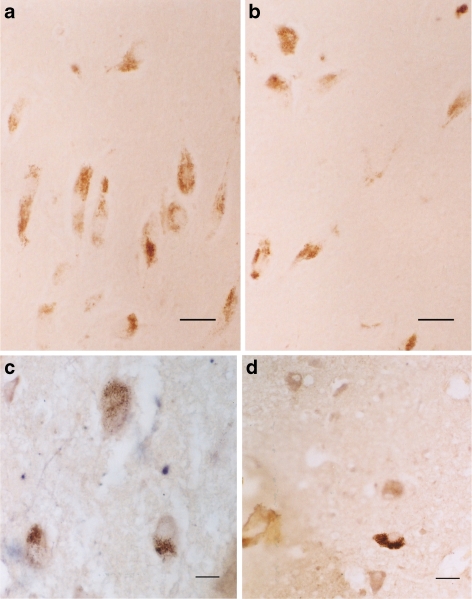 Fig. 9