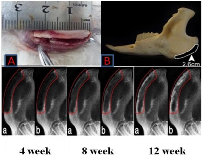 Figure 10