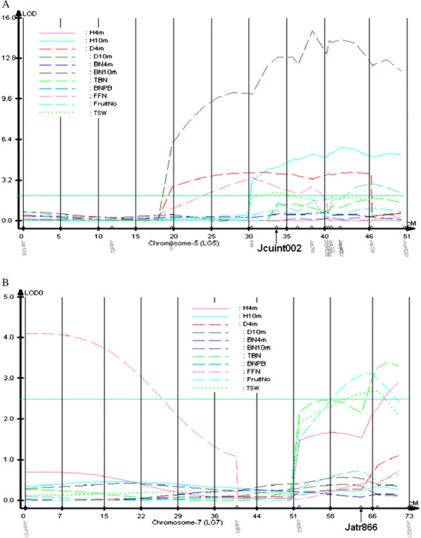 Figure 2 