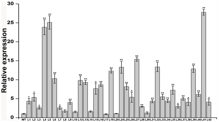 Figure 4