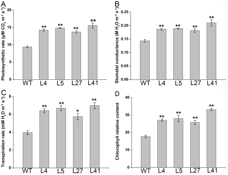 Figure 5