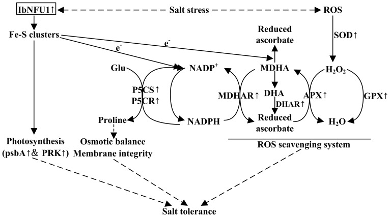 Figure 9