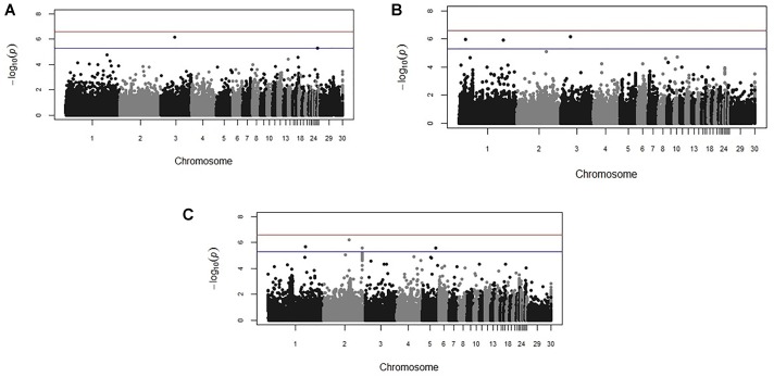 FIGURE 3