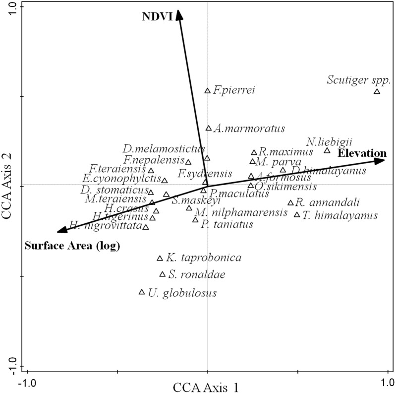 Fig. 6