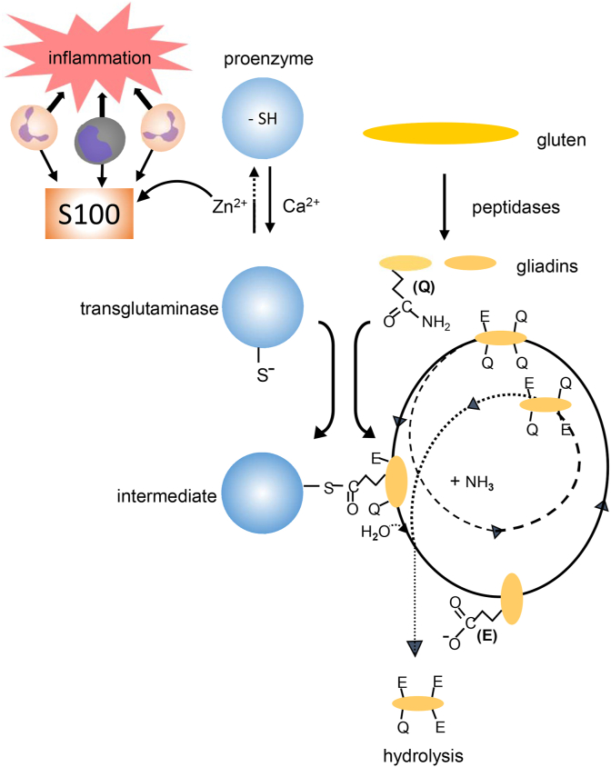 Fig. 3