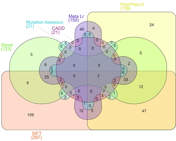 Fig. 7