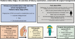 Graphical Abstract