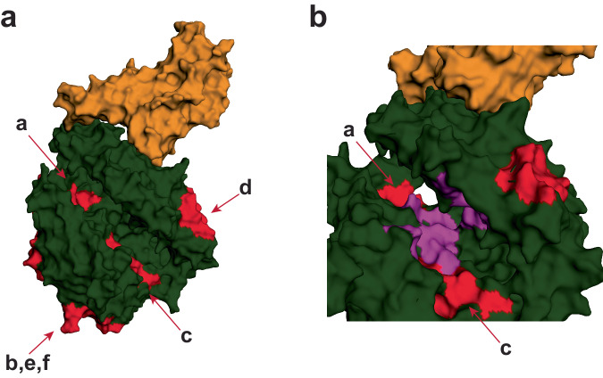 Fig. 3