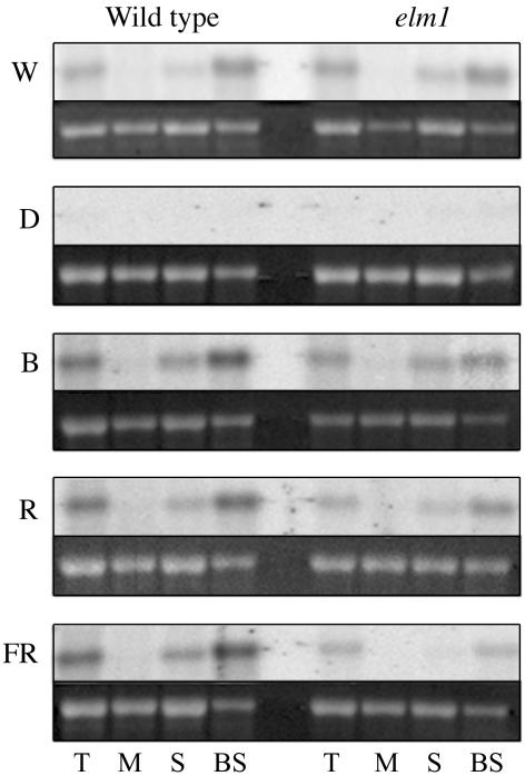 Figure 5.