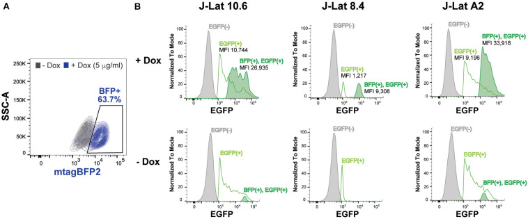 FIGURE 6