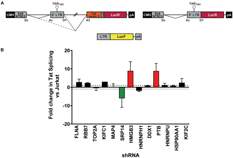 FIGURE 3