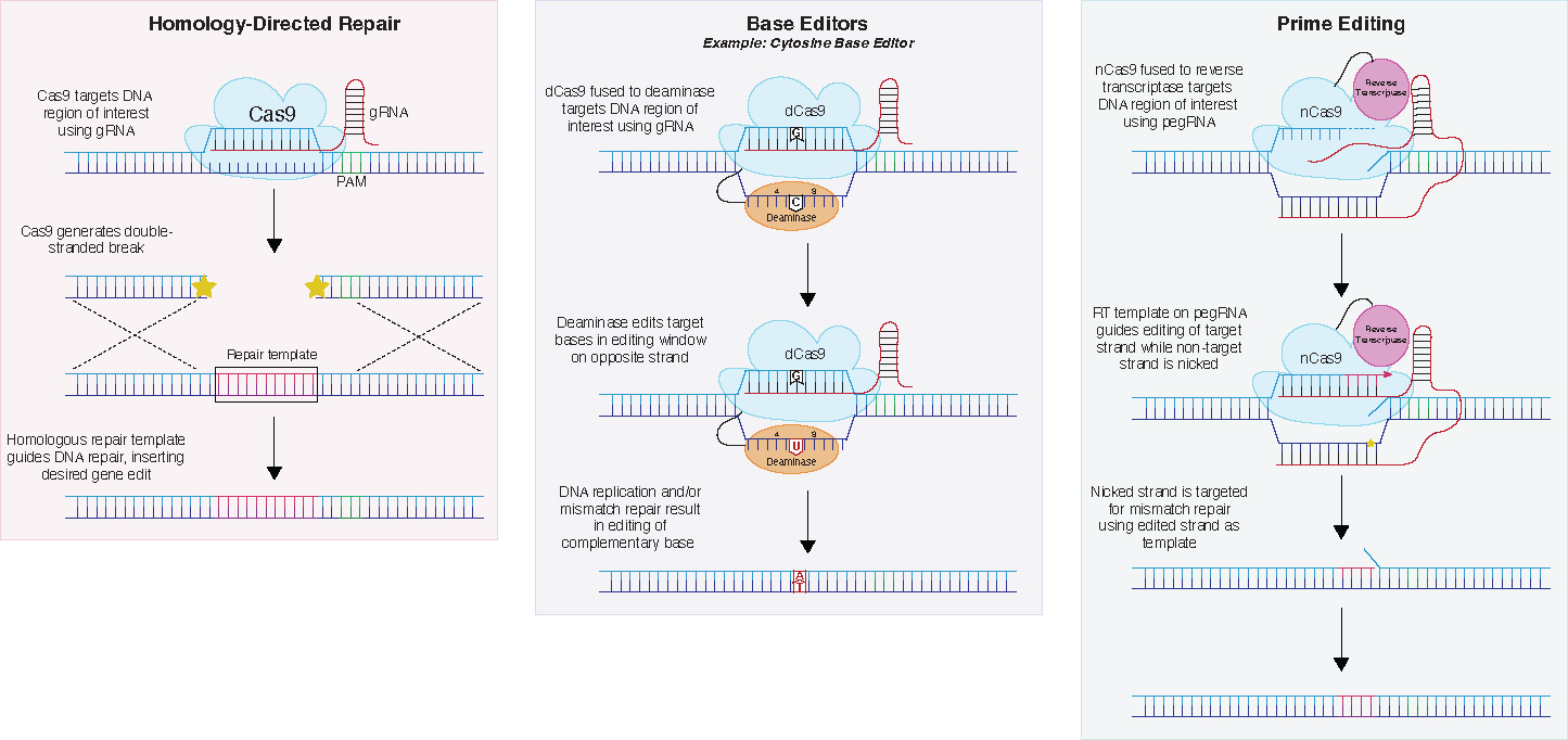 Figure 5.