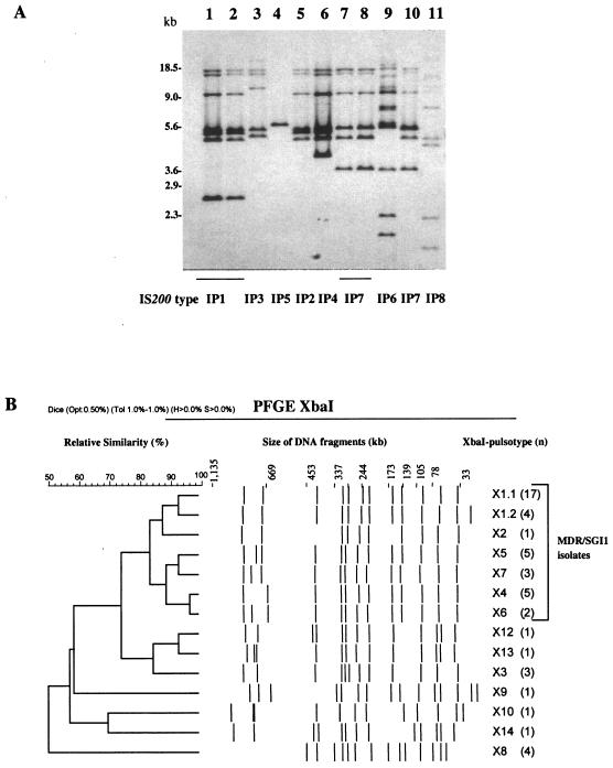 FIG. 2.