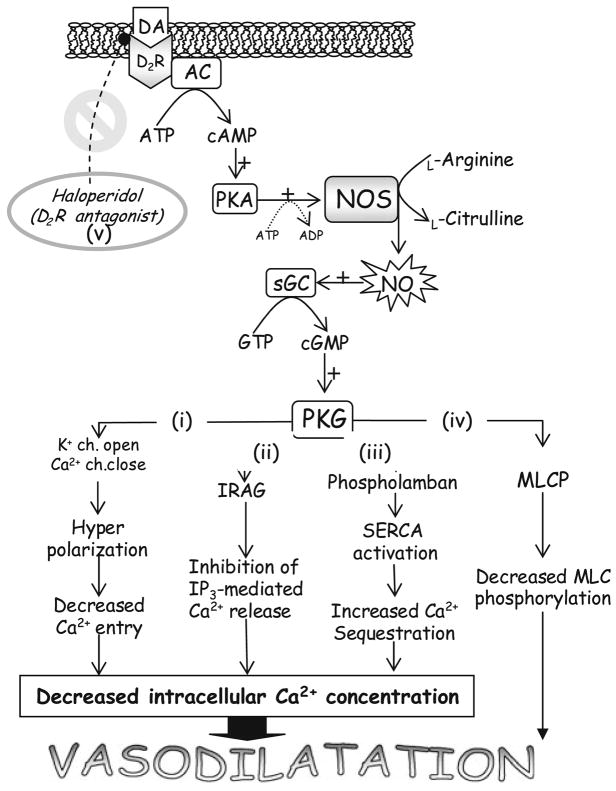 Fig. 4