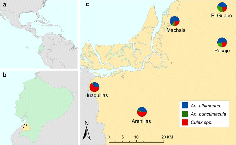 Fig. 1