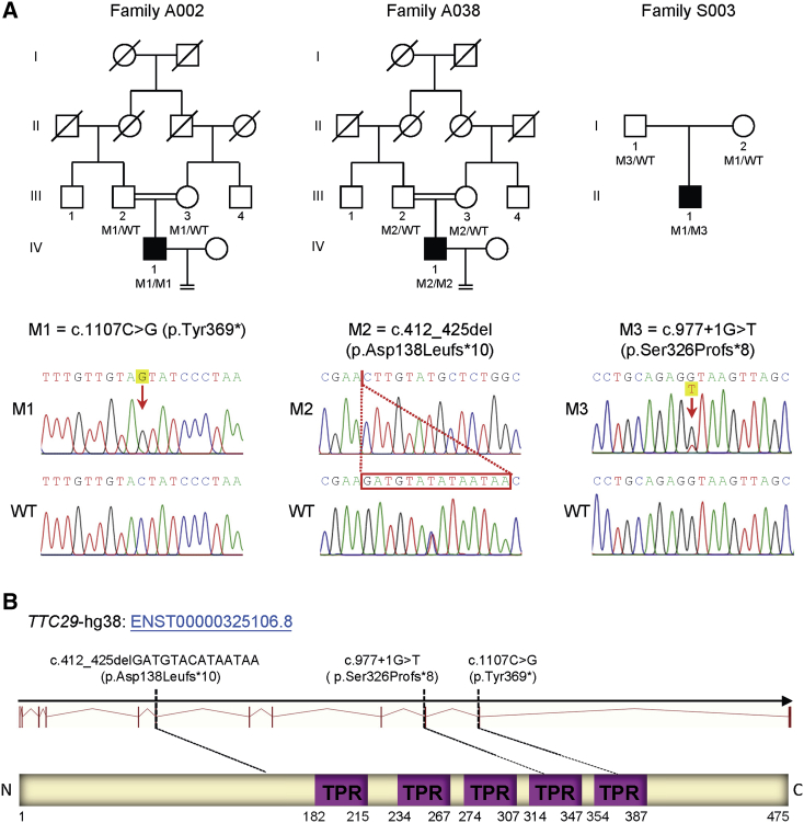 Figure 1