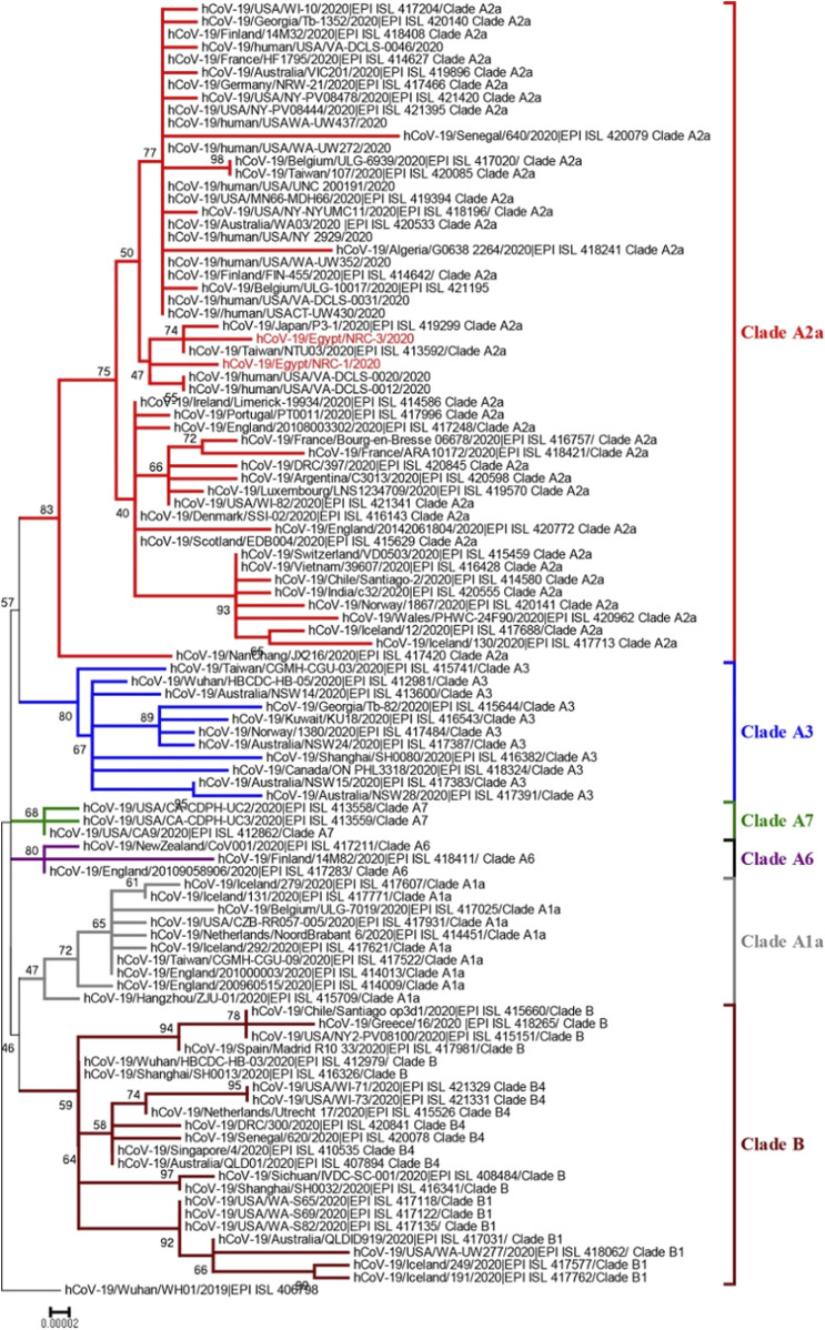 FIGURE 2