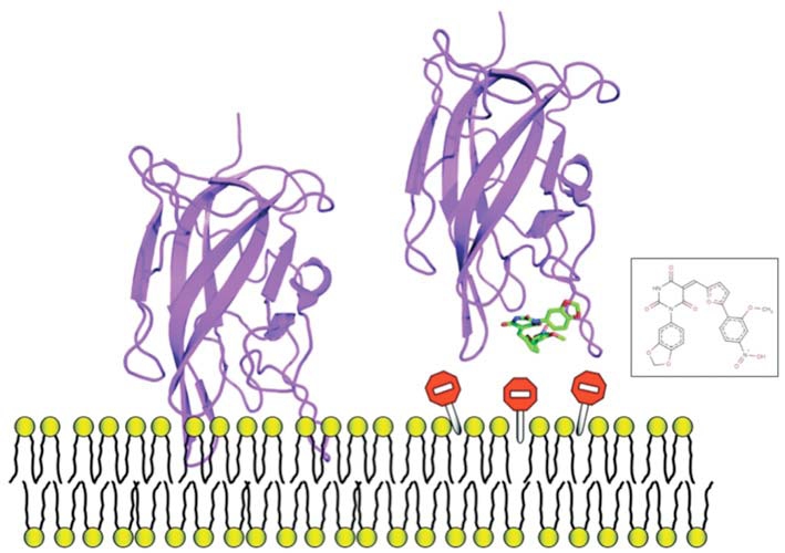 Fig. (6)