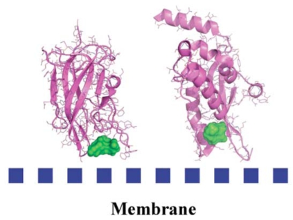 Fig. (4)