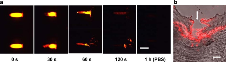 Fig. 2