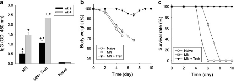 Fig. 7