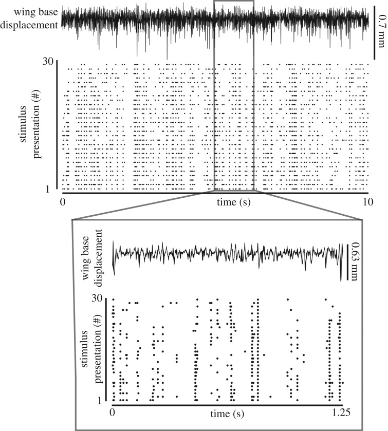 Figure 3.