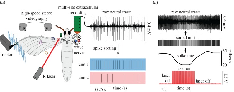 Figure 2.