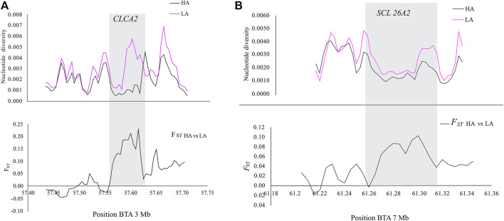 FIGURE 9