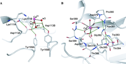 FIG. 7.