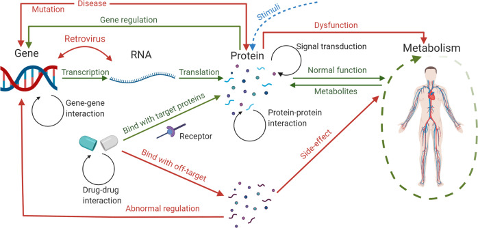 Fig. 1